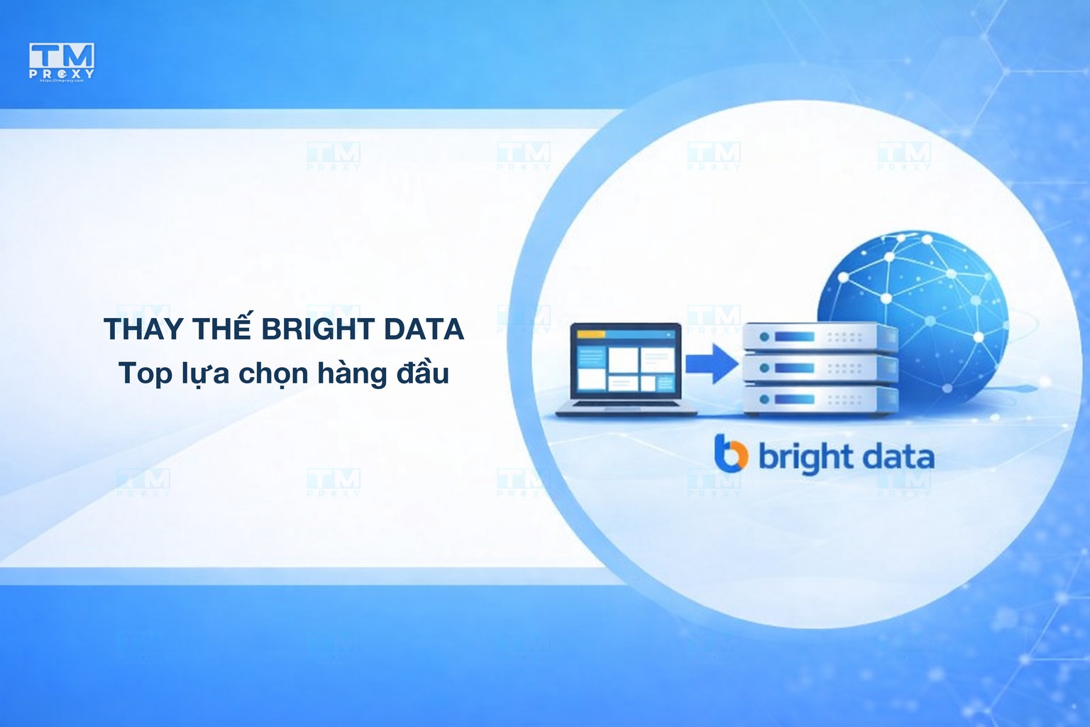 Tìm kiếm giải pháp thay thế Bright Data? Top những lựa chọn hàng đầu năm 2025