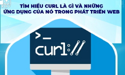 Featured image of post Tìm hiểu cURL là gì và cách sử dụng cURL cơ bản trong PHP