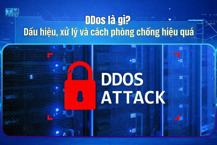 DDos là gì? Dấu hiệu, xử lý và cách phòng chống hiệu quả