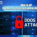 DDos là gì? Dấu hiệu, xử lý và cách phòng chống hiệu quả