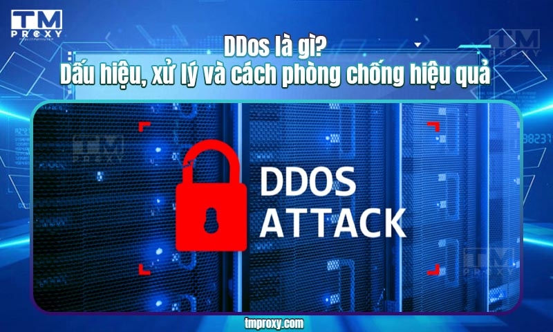 Featured image of post DDos là gì? Dấu hiệu, xử lý và cách phòng chống hiệu quả