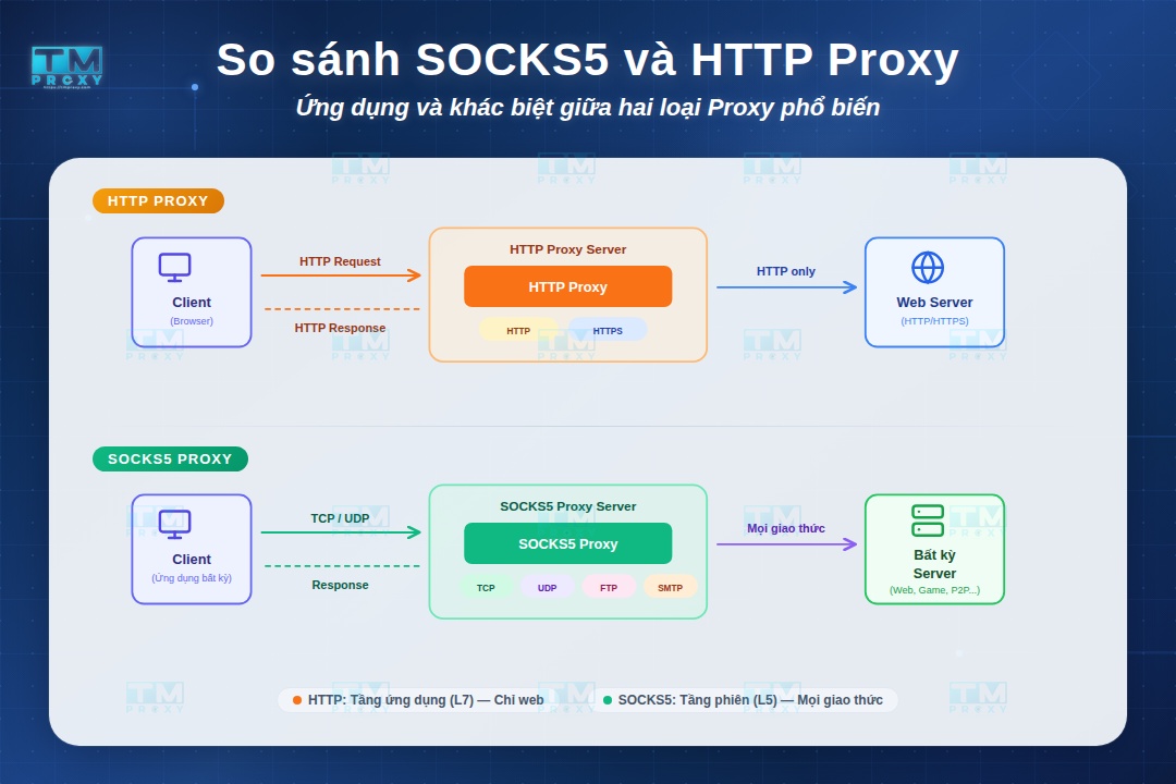Featured image of post HTTP代理 vs SOCKS5：详细对比与选择指南