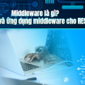 Middleware là gì? Tình năng và ứng dụng middleware cho REST API