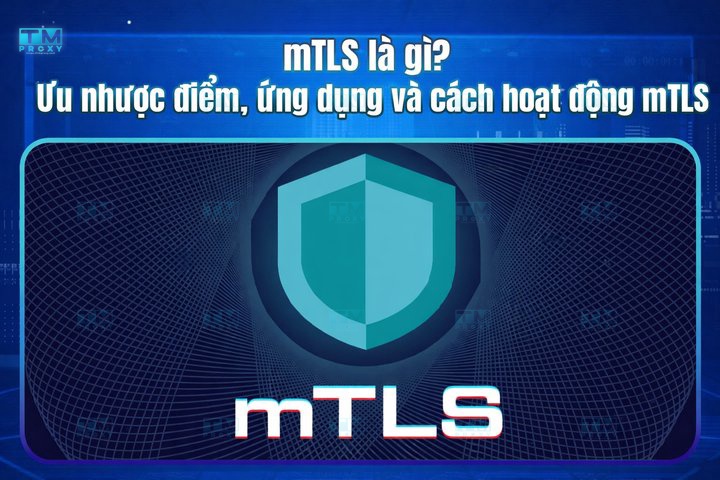 Featured image of post 什么是mTLS？优缺点、应用和工作原理
