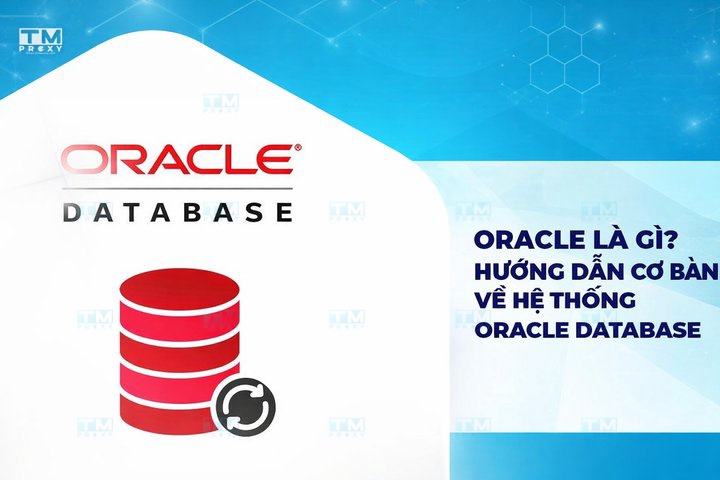Featured image of post What is Oracle? A Beginner's Guide to Oracle Database