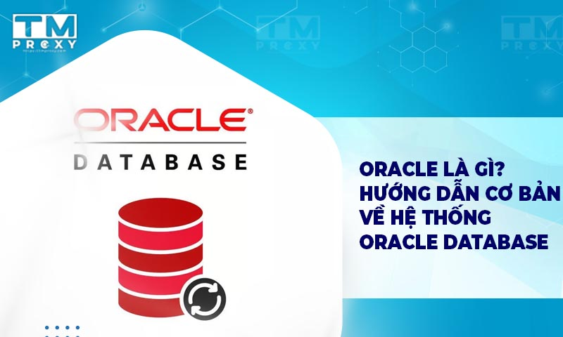 Featured image of post Oracle là gì? Hướng dẫn cơ bản về hệ thống Oracle Database