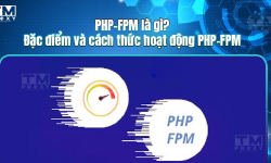 Featured image of post PHP FPM là gì? Đặc điểm và cách thức hoạt động PHP FPM