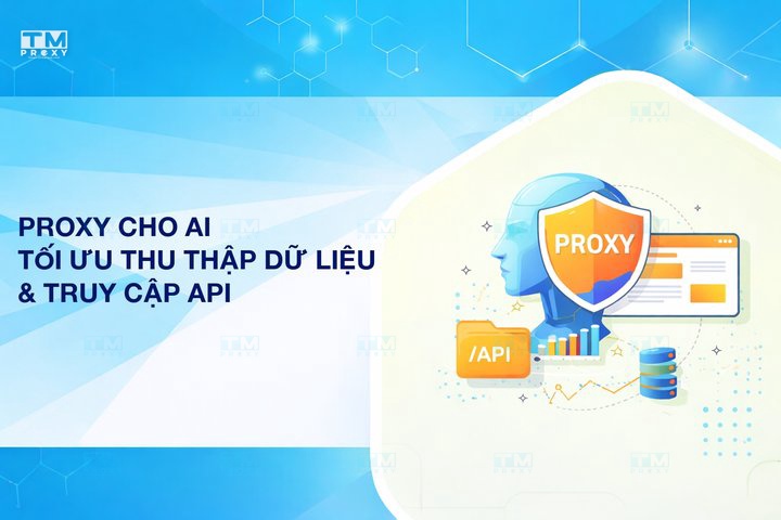 Proxy cho AI: Tối ưu hoá thu thập dữ liệu và truy cập API