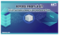 Featured image of post Reverse Proxy là gì? Lợi ích, cách dùng và nguyên lý hoạt động Reverse Proxy