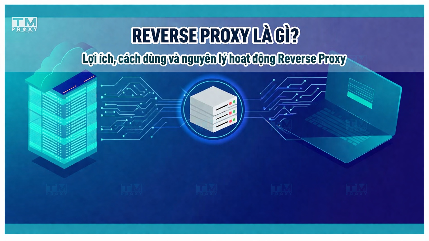 Reverse Proxy là gì? Lợi ích, cách dùng và nguyên lý hoạt động Reverse Proxy