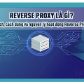 Reverse Proxy là gì? Lợi ích, cách dùng và nguyên lý hoạt động Reverse Proxy
