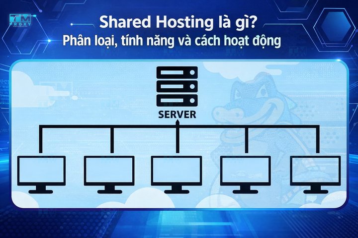 Shared Hosting là gì? Phân loại, tính năng và cách hoạt động