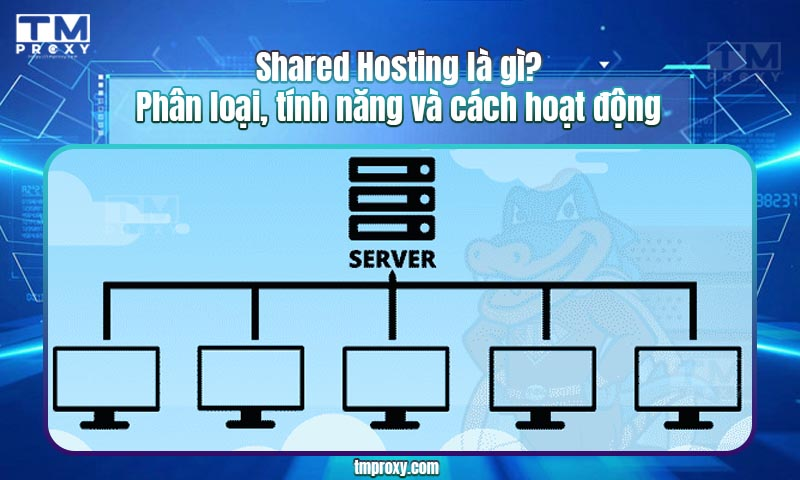 Featured image of post Shared Hosting là gì? Phân loại, tính năng và cách hoạt động