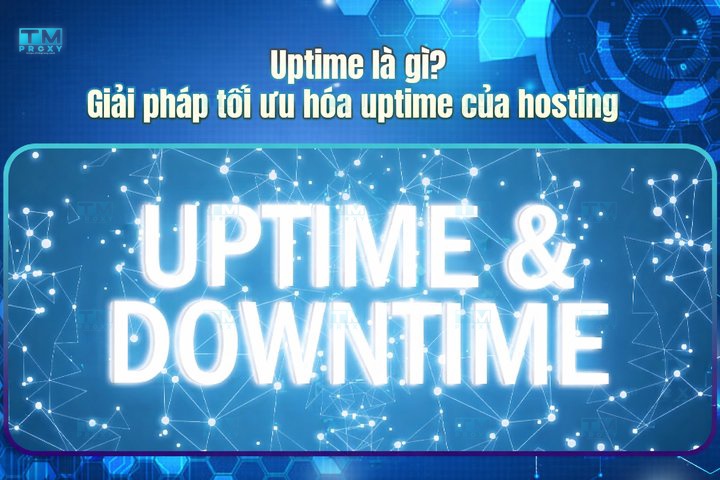 Featured image of post What is Uptime? How to Optimize Your Hosting Uptime