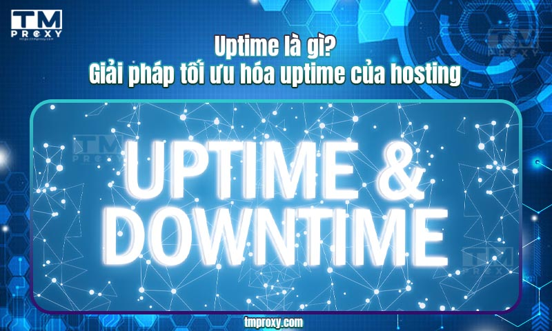 Featured image of post Uptime là gì? Giải pháp tối ưu hóa uptime của hosting