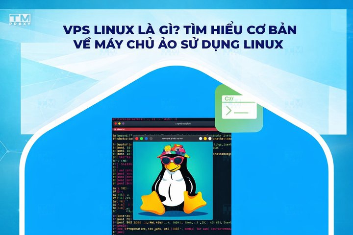 VPS Linux là gì? Tìm hiểu cơ bản về máy chủ ảo sử dụng Linux