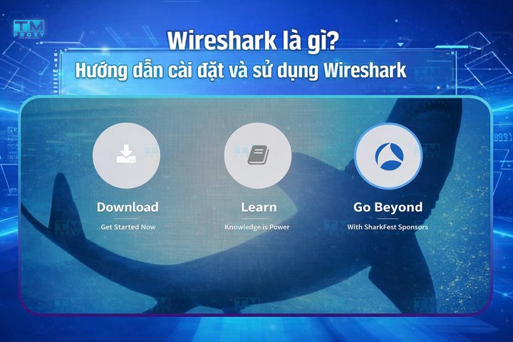 Featured image of post What is Wireshark? Installation and Usage Guide