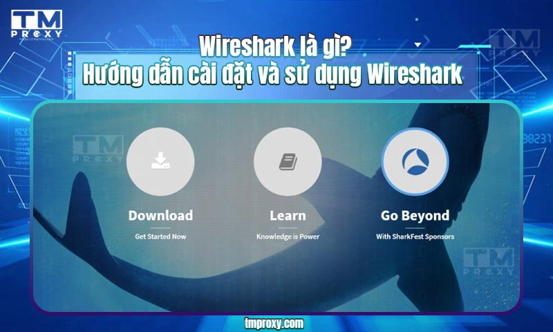 Featured image of post Wireshark là gì? Hướng dẫn cài đặt và sử dụng Wireshark?