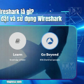 Wireshark là gì? Hướng dẫn cài đặt và sử dụng Wireshark?